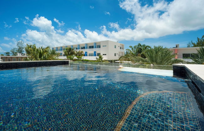 The Grove - Photo 39