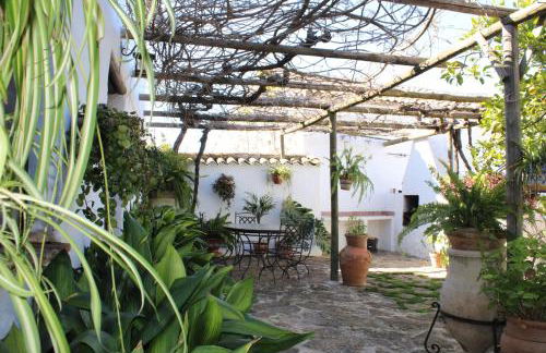 Cortijo el Morrón - Casa Rural - Foto 10