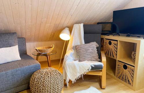 Apartamenty Jagodzianka - Jacuzzi, Sauna, Hot-bania, Tężnia - Foto 79