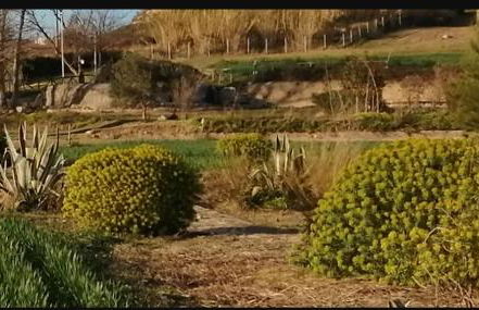 Agri B&B Terre Joniche - Foto 50