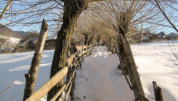 Escursione invernale tour dei Carpazi - Foto 2