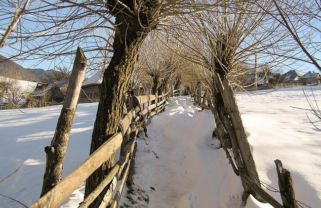 Randonnée hivernale dans les Carpates - Photo 2