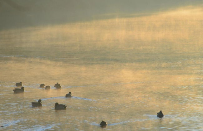 Doppelhaushalfte in Hasselfelde - Foto 20
