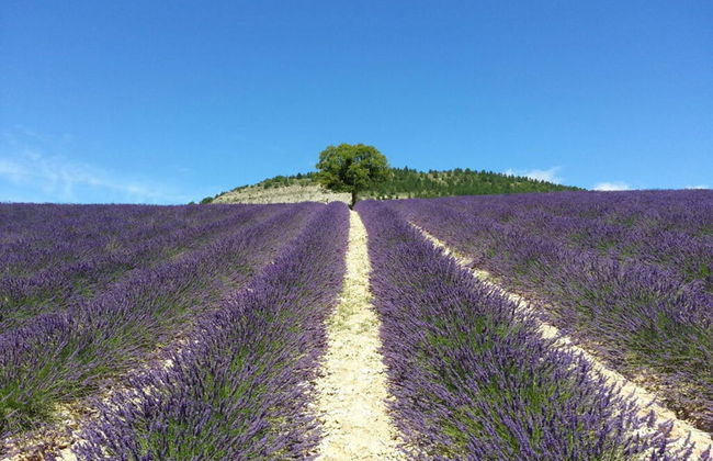Appealing Apartment in Sankt Aldegund - Photo 2