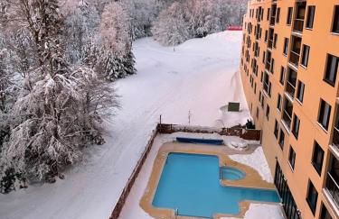 Modern Condo with Ski In & Ski Out - Silver Creek Lodge, Snowshoe - Foto 15