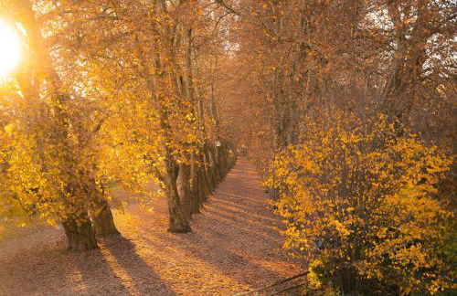 Riversidesuite-Tuebingen - Foto 37