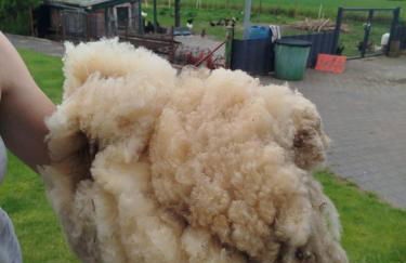 Bed and Bike Rheine - Foto 35