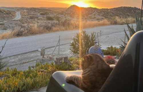 Cave Holidays Andalucia - Foto 30