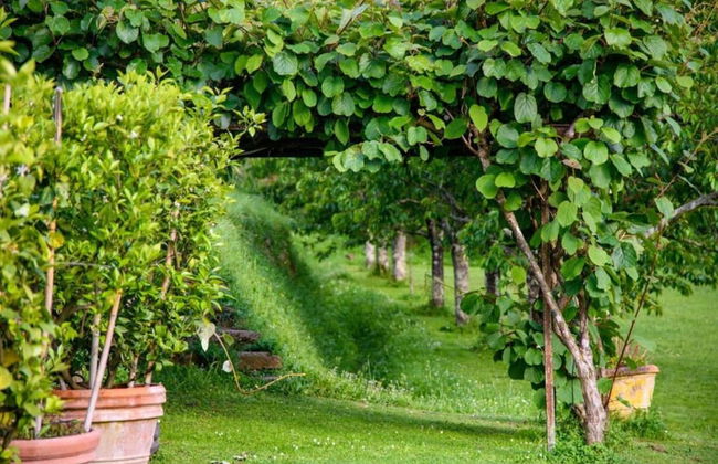 Capannori Playful Cottage - Foto 27