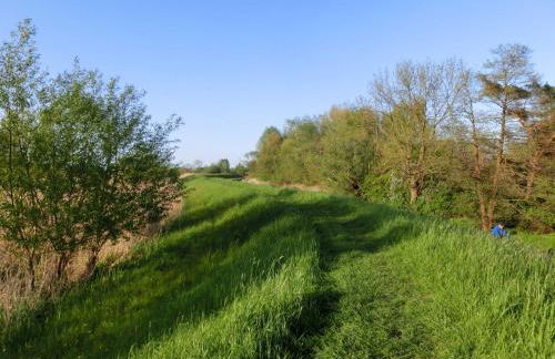 Ferienwohnung Zentrum Buxtehude - Photo 31