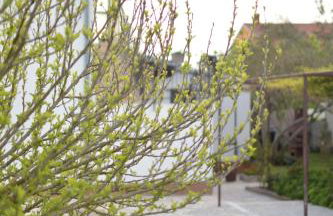 Apartment Ivy - Foto 29