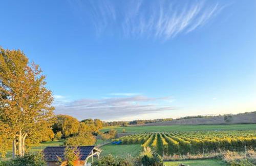 Landhaus Am Rebstock FeWo Anker - Foto 18