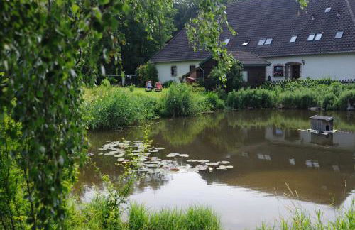 Mini-1-Raum-Apartment mit eigenem Eingang - Foto 13