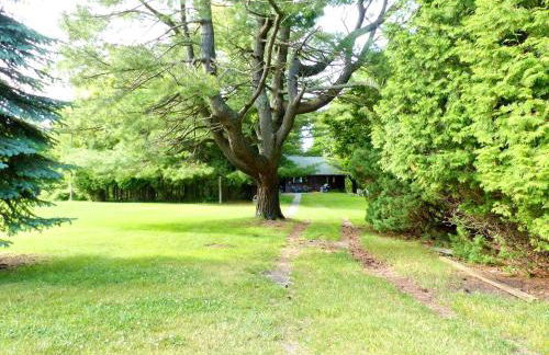 Rustic Cabin Rental on a Wildlife Sanctuary in Manistee, Michigan - Foto 20
