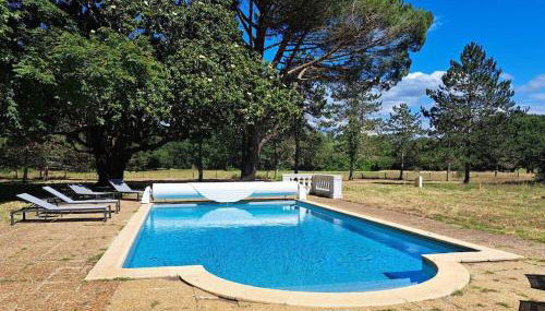 Grandiflora - Foto 3