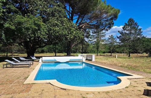 Grandiflora - Foto 3