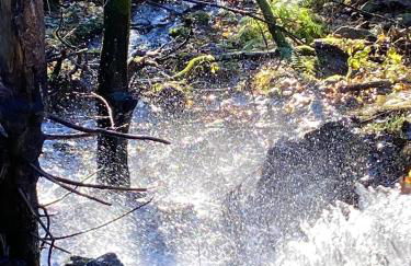 Appartement cosy au pied des pistes - Foto 21