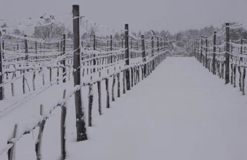 Agriturismo Bagnaia - Foto 67