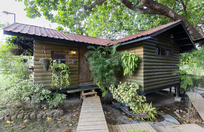 Quinta Pavo Real Complex by Acomodo - Foto 9