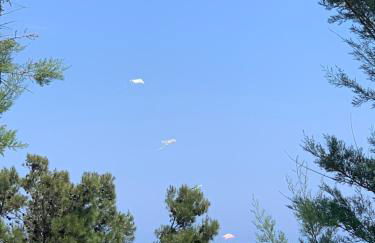 La collinetta sul mare - Foto 4