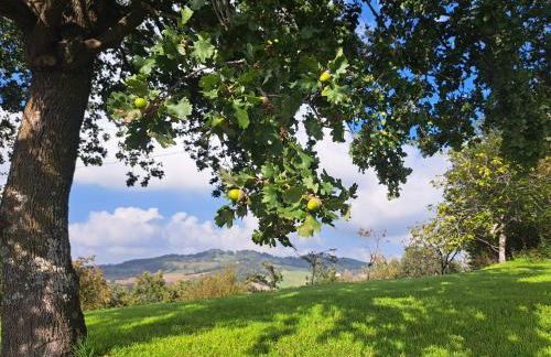 B&B Le Scintille - Foto 49