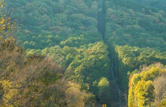 Nebo's Foot, Hiking and Biking Escape with Game Shed - Foto 61