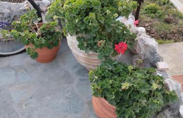 Lena's Family Home - Foto 44