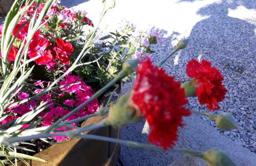 Apartmani Bernarda - Photo 60