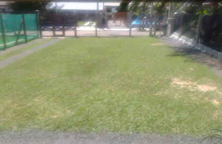 Casa da Felicidade - Foto 40