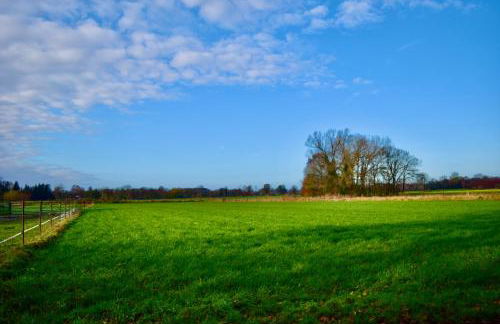 Bed and Bike Rheine - Foto 11