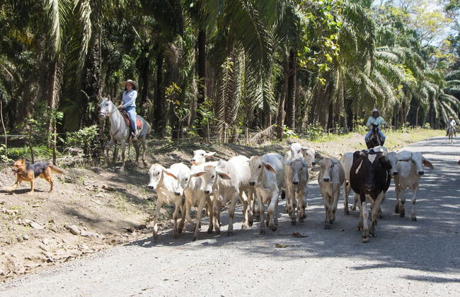 2 Comfortable New Villas Near Pacific, Private Pool With Waterfall! - Photo 24
