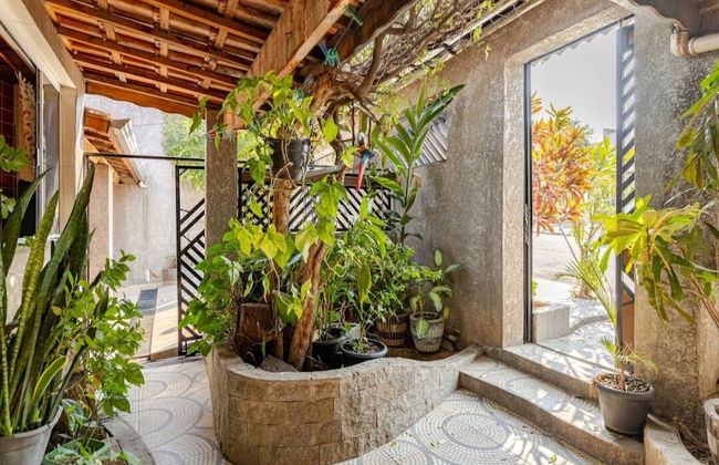 San Gonzales - Foto 24