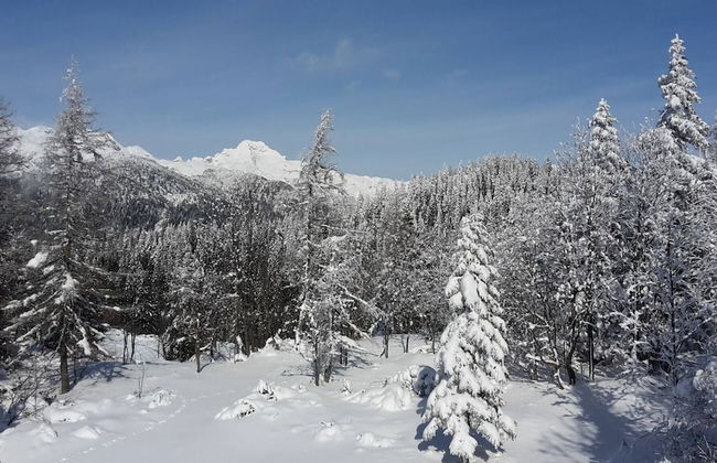 Chalet Pehta - Velika Planina - Foto 15
