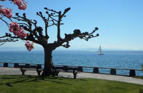 Ferienwohnung Finke 2 - Foto 22