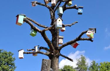 Kleine Auszeit Ferienwohnung nahe Bosenbergklinik mit Parkplatz, Haustiere willkommen - Foto 37
