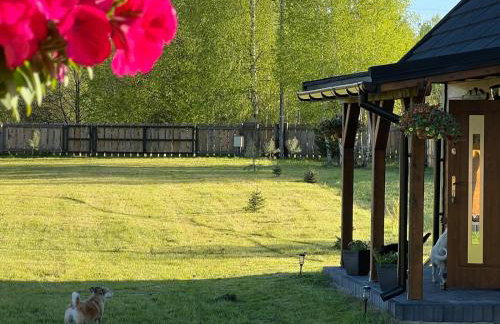 Siedlisko Jaskółka - Puszcza Białowieska - Foto 39