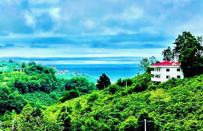 Five Stars Apart Bungalov - Foto 45