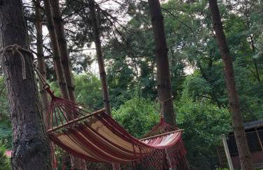 Siedlisko Musialove nad jeziorem 8 osob - Foto 55