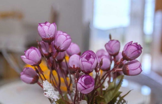 Apartment Mojaš - Foto 16