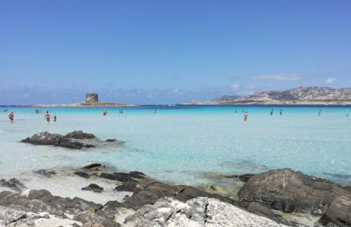 Il tramonto tra Alghero e Stintino - Foto 52