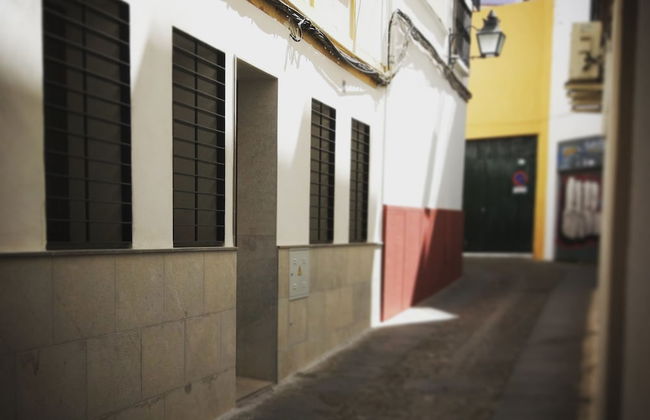 I Loft Córdoba - Foto 21