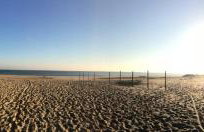 Morskie Opowieści - Foto 77