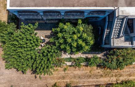 Gregory's House - Photo 48