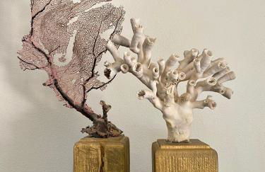 Residenza del Gallo - Residenze Tonnina Group - Foto 36