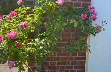 Storchenblick-No-1 - Foto 30