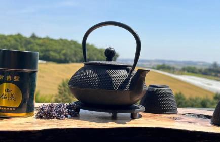 Domaine Léa Chanflaur - Spa - La maison du bonheur - Foto 21