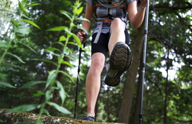 Chimo Refuges Treehouse Resort - Foto 52