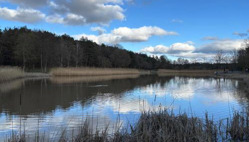 Apartment in Miesenbach - Foto 5