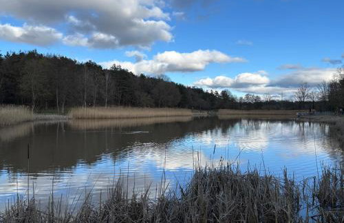Apartment in Miesenbach - Foto 5