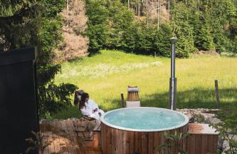 Grand Duplex de Charme - Vue Forêt et Vie au Grand Air - Sauna et bain nordique - Foto 10